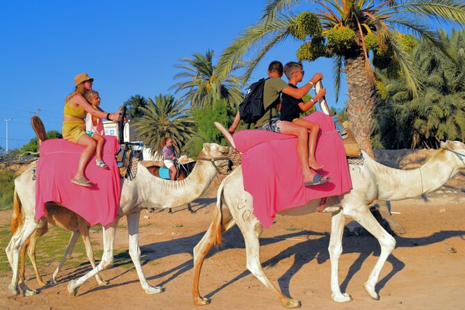 Explore Djerba by camel and horse - The return ride and a more flexible pace