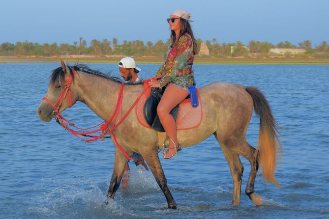 Explore Djerba by camel and horse - Who will enjoy this Djerba ride most