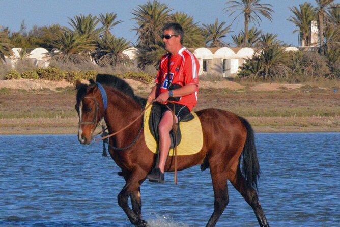 Explore Djerba by camel and horse - Berber tracks and open Djerba scenery