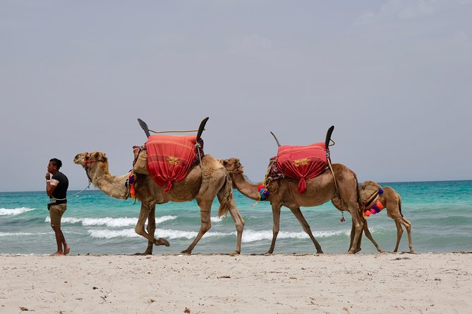 From Djerba : 1 day in the footsteps of Star Wars "Mos Eisley" - Why this Djerba day works for Star Wars fans and first-time visitors