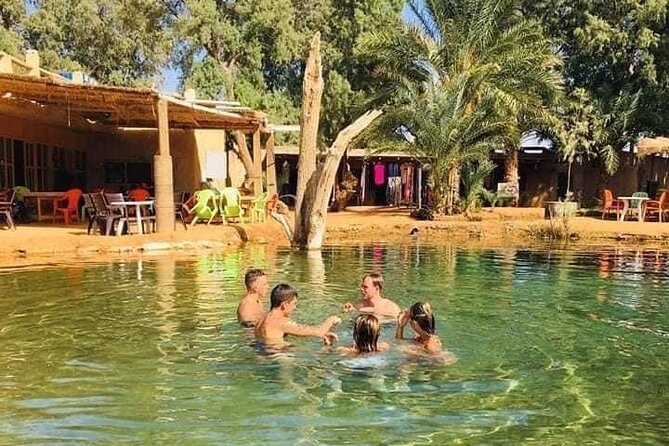 From Djerba: Explore the desert in a day - Reaching the oasis after the desert drive