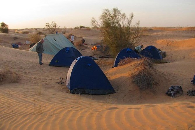 From Tozeur: 3-Day Desert Trip - From Tozeur to the edge of the Sahara