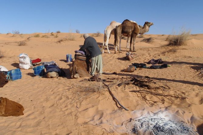From Tozeur: 3-Day Desert Trip - Riding by camel into the Grand Erg Oriental