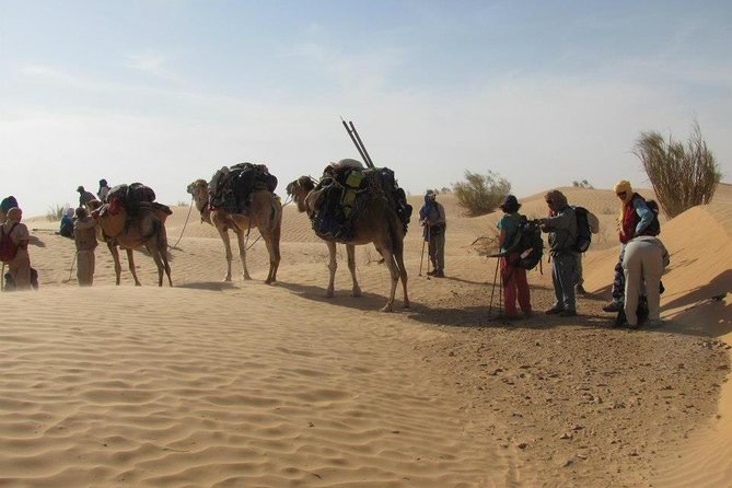 From Tozeur: 3-Day Desert Trip - Sunrise gives the camp a second act