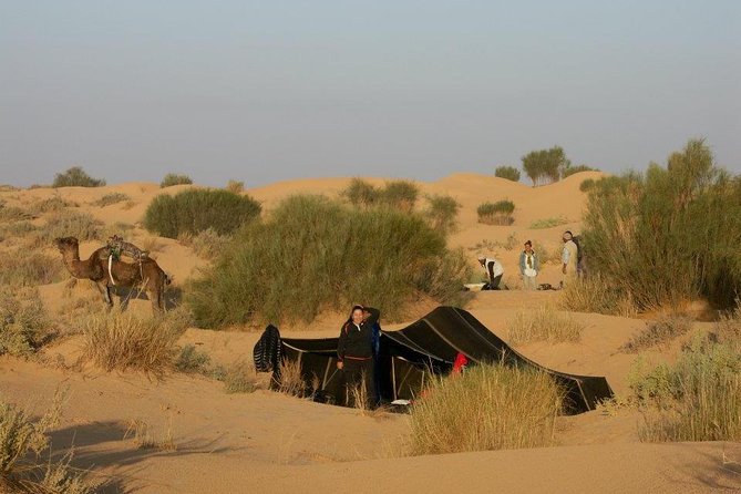 From Tozeur: 3-Day Desert Trip - Chott Djerid: a striking first stop