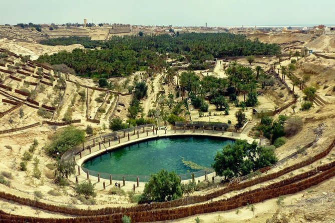 From Tunis: Star Wars 5 day tour - Day 4: Ksar Ghilane and the real Sidi Idriss