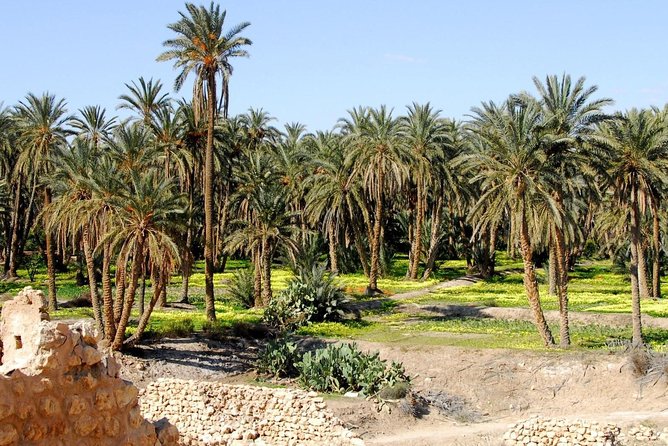From Tunis: Star Wars 5 day tour - Day 5: A Berber home and the Roman finale at El Jem