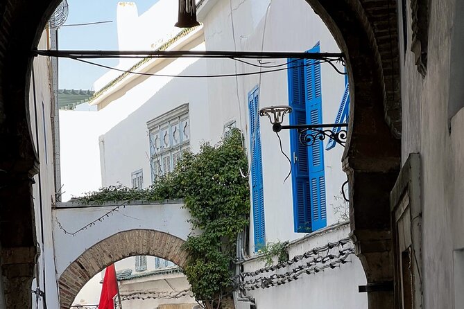 Full-Day Shore Excursion Private Tour in Tunisia Carthage ,Medina, Sidi Bou said - Practical details before you go