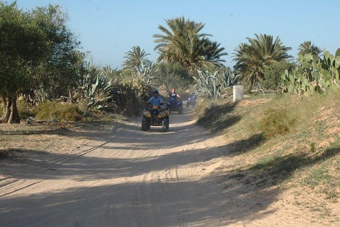 Great ride forest and blue lagoon in quad - How adventurous is the quad circuit?