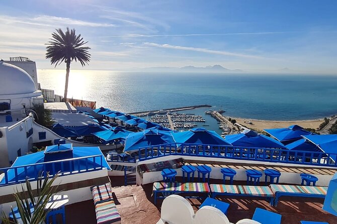 Half a day in Sidi Bousaid from Hammamet - Key points to know before booking