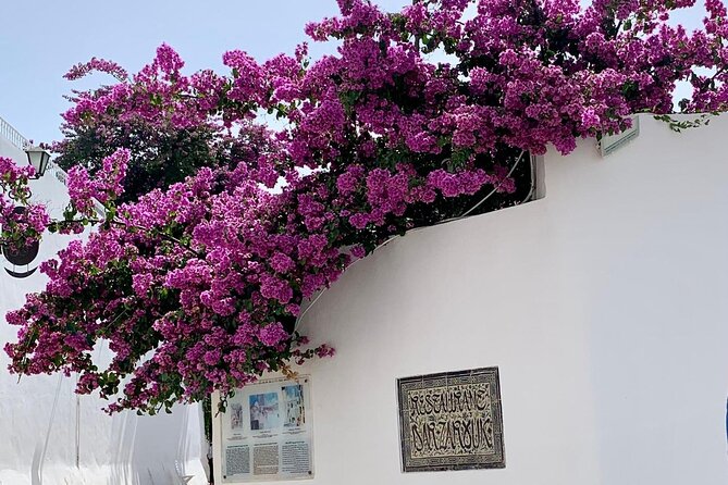 Half a day in Sidi Bousaid from Hammamet - Why Sidi Bou Said is worth the long ride