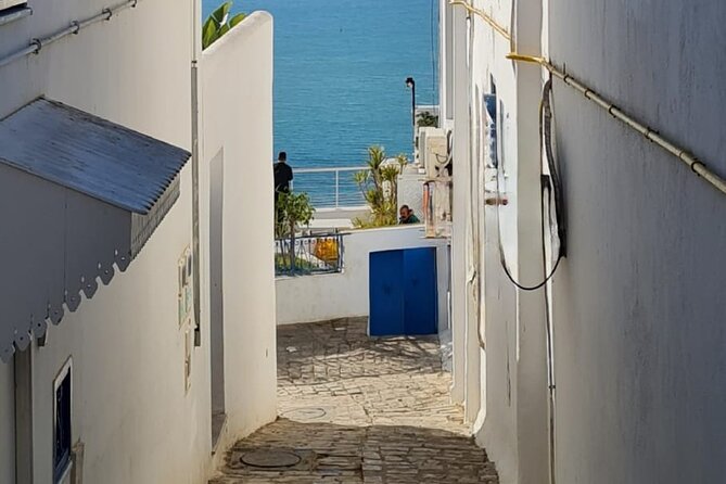 Half a day in Sidi Bousaid from Hammamet - What the transport service does well
