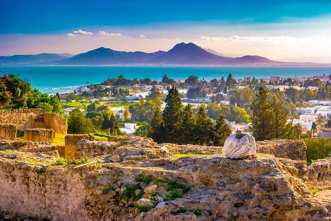 Half-Day Carthage, Sidi Bou Said Private Tour with Licensed Guide - Who Will Get the Most From This Tour?