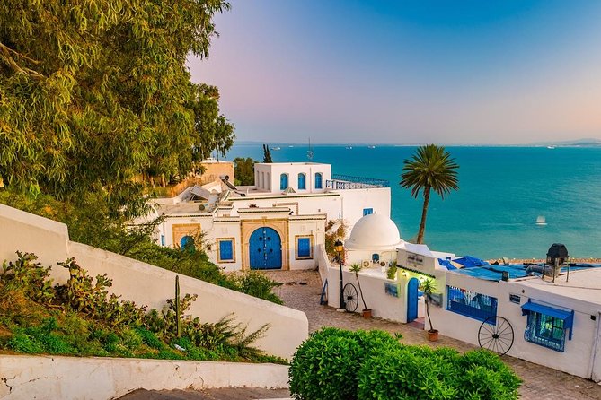 Half-Day Carthage, Sidi Bou Said Private Tour with Licensed Guide - The Blue-and-White Streets of Sidi Bou Said