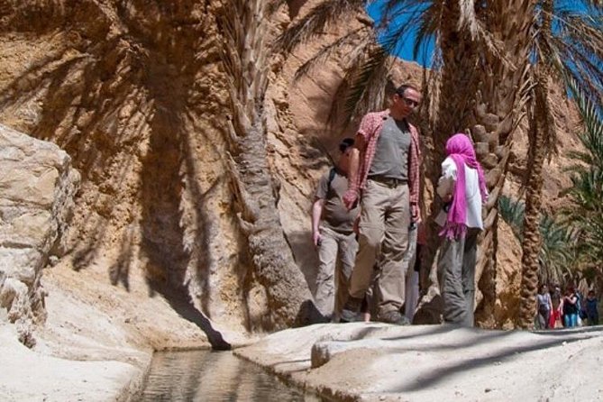 Half-day excursion the mountain oases from Tozeur - Why these mountain oases are worth your time