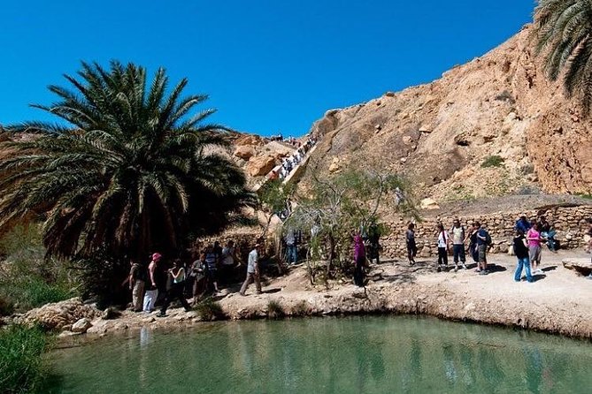 Half-day excursion the mountain oases from Tozeur - What a private vehicle changes