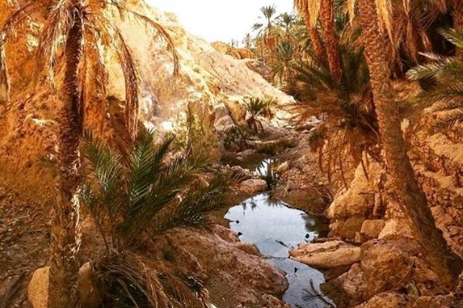 Half-day excursion the mountain oases from Tozeur - The guide question deserves a clear answer