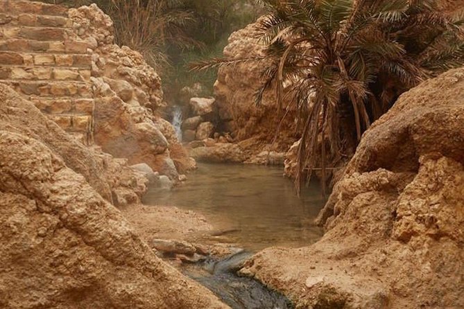 Half-day excursion the mountain oases from Tozeur - Who will enjoy this outing most