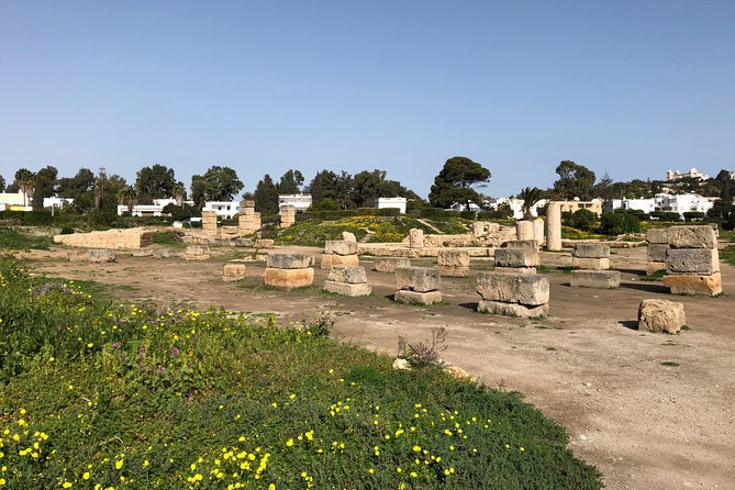Historical Tour of Ancient Carthage - The Roman arena at Site Archéologique de Carthage