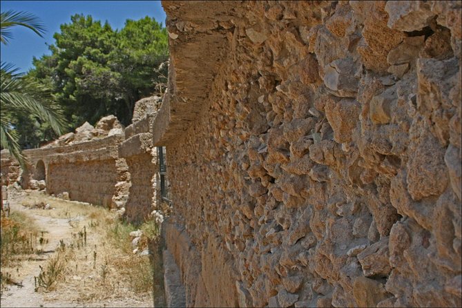 Historical Tour of Ancient Carthage - Timing, pickup, and practical planning