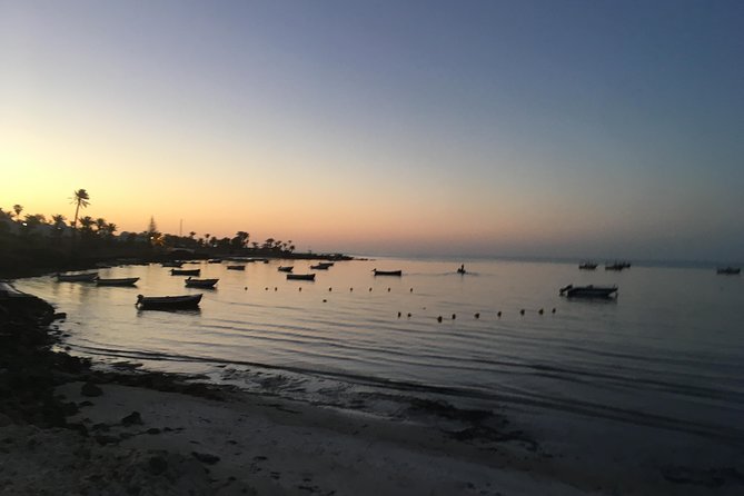 Horseback riding at sunrise 3h - Key points to know before booking