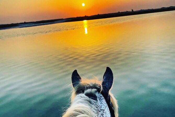 Horseback riding at sunrise 3h - Leaving Ranch Adada Djerba at 4:00 am