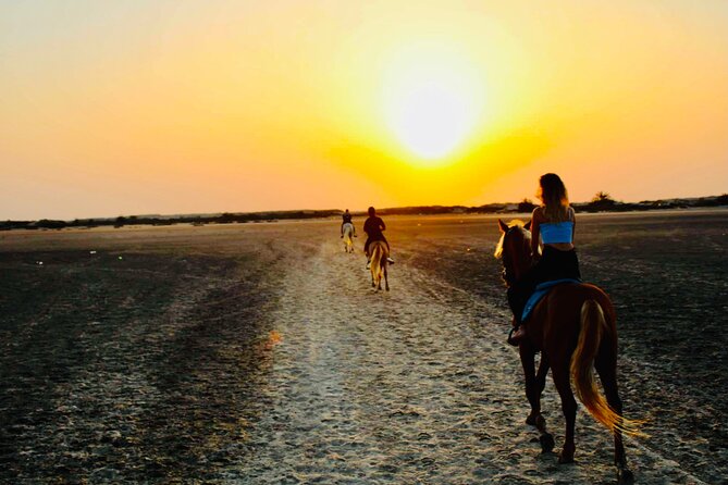 Horseback riding at sunrise 3h - What a three-hour ride feels like