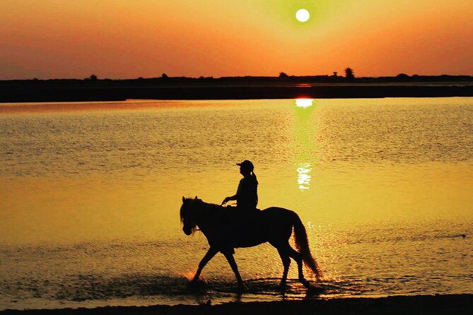 Horseback riding at sunrise 3h - The Morgane factor and the ranch setting