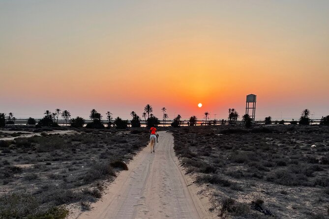 Horseback riding at sunrise 3h - Is $52.48 good value?