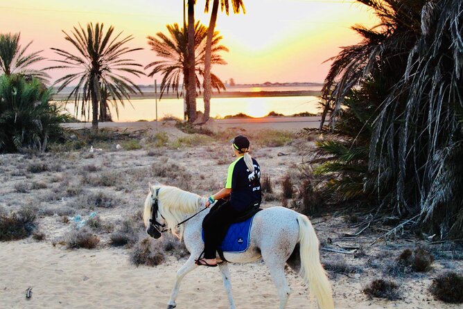 Horseback riding at sunrise 3h - Who should book this sunrise ride?