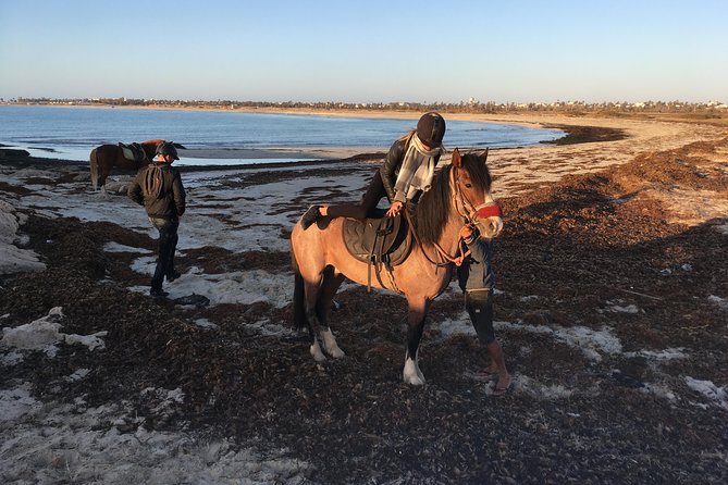Horseback riding at sunrise 3h - Weather, cancellation, and booking timing