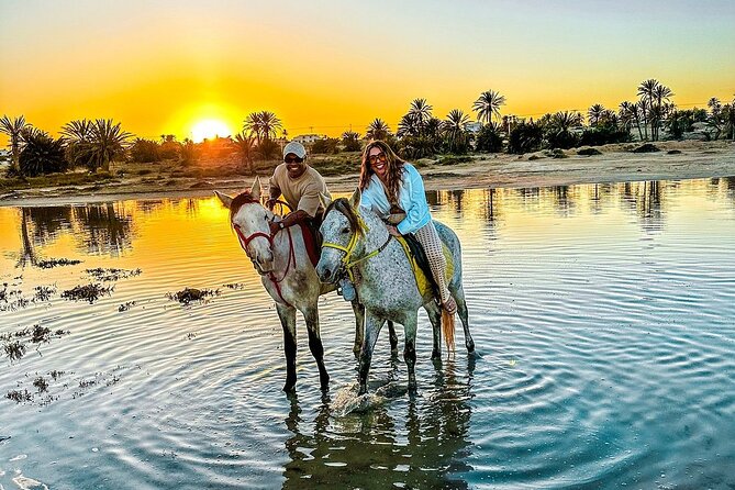 Horseback riding or camel at sunset in Djerba - A one-hour ride timed for Djerba’s sunset