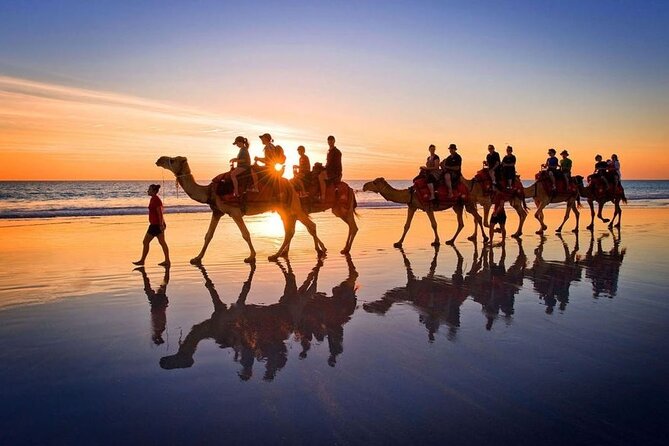 Horseback riding or camel at sunset in Djerba - A good fit for first-time riders