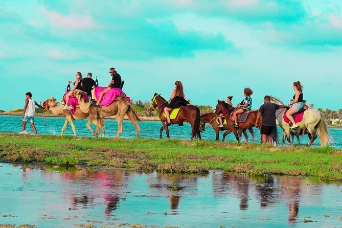 Horseback riding or camel at sunset in Djerba - Friendly organization, with a few practical limits