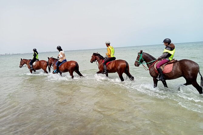 Horseback riding with private transfer - A coastal ride with more variety than a standard trail