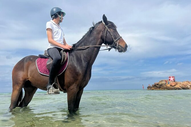 Horseback riding with private transfer - Between the golf course, tracks, and open countryside
