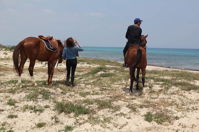 Horseback riding with private transfer - Walking beside the beach