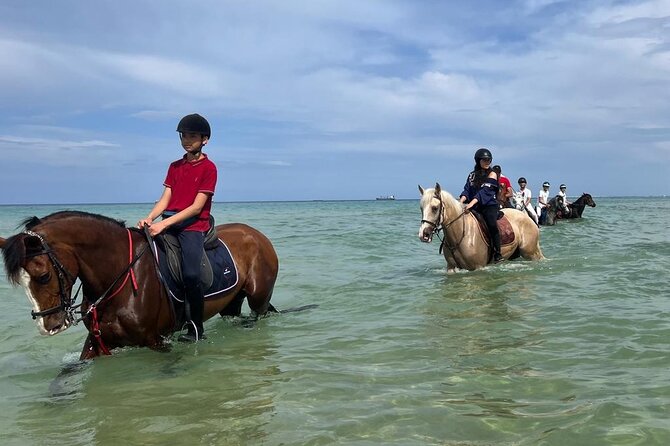 Horseback riding with private transfer - Private pickup makes the day easier