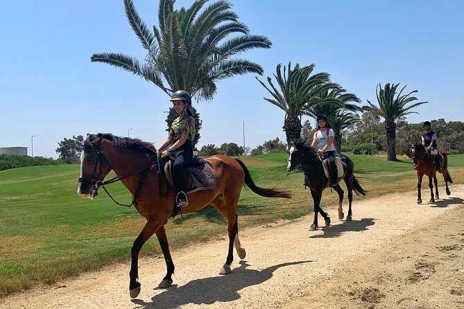 Horseback riding with private transfer - What $62.72 buys you