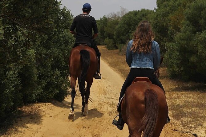 Horseback riding with private transfer - Who will enjoy this ride most