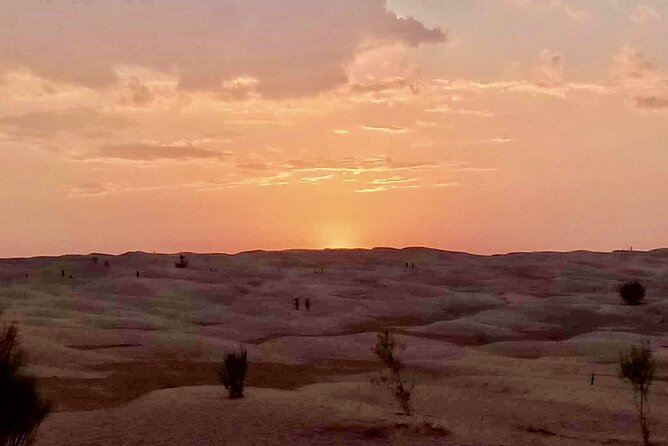 Ksar Ghilaine and Chneni Tataouine 1 day tour in Tunisia - Key points at a glance