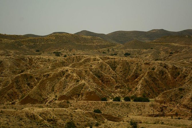 Ksar Ghilane 1 day: The hot spring and the homestay - Why Ksar Ghilane makes a worthwhile long day
