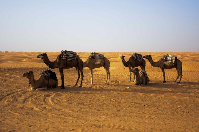 Ksar Ghilane 1 day: The hot spring and the homestay - Sidi Idriss Hotel and the Star Wars connection