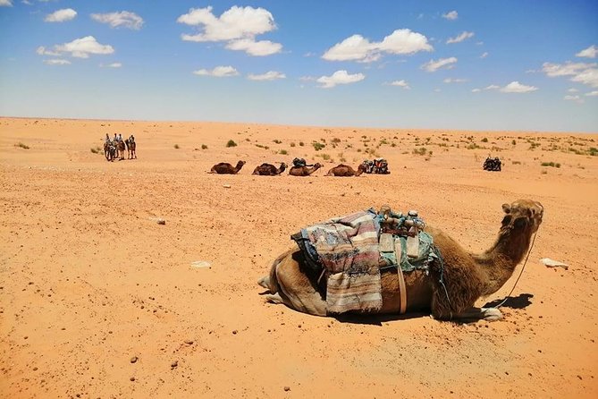 Ksar Ghilane 1 day: The hot spring and the homestay - Toujane: a final Berber village viewpoint