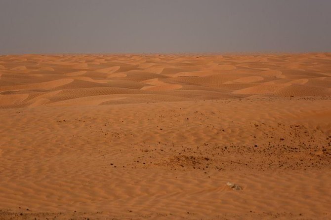 Ksar Ghilane 1 day: The hot spring and the homestay - Tamezret: a short tea stop with a wide view