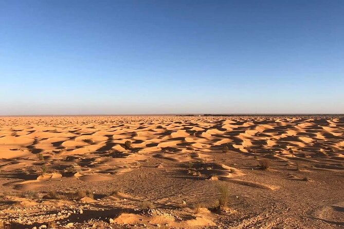 Night excursion to the desert and Berber village from Djerba - Key points to know before you book