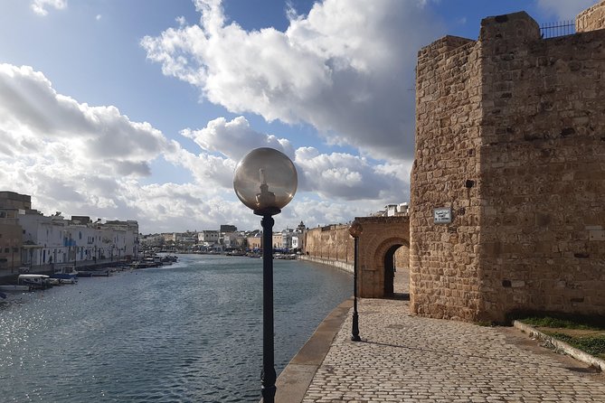 North Africa Tour Bizerte Cape Angela and Ichkeul Unesco park - Utica: Phoenician trade and Roman remains