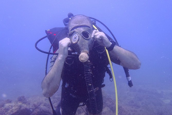 Octopus Rock Exploration - Certified Diver - The briefing is more important than it sounds