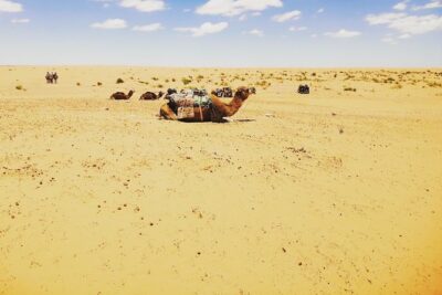 One night under the tent: Tataouine – Chenini – Ksar Ghilane – Matmata