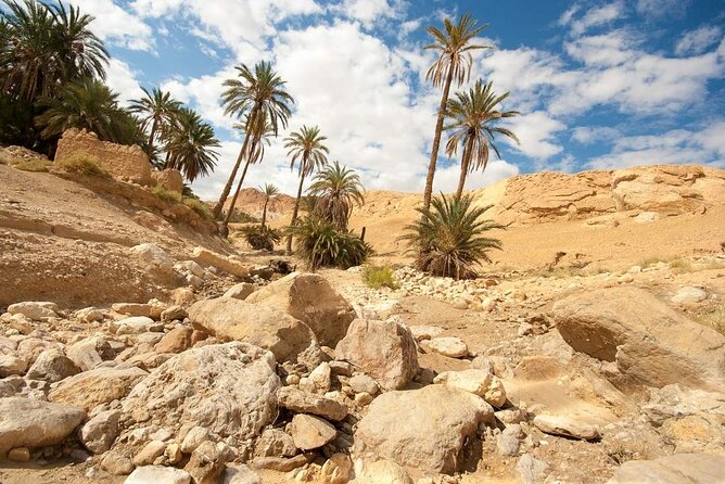 PRIVATE 2 day SAFARI (Ksar Ghilane and Atlas Mountains) from Jerba - Ksar Ghilane, the trip’s desert centerpiece